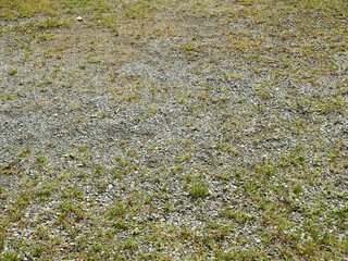 dirt abandoned ground with grass, natural background