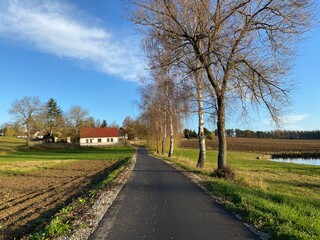 Obraz premium spring