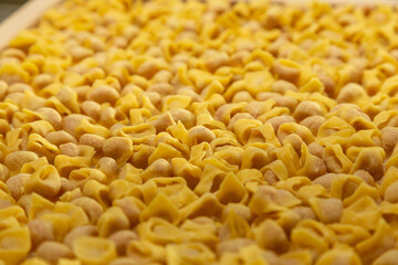 Tortellini fatti a mano 4