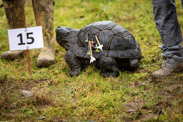 Close-up of an archery target and arrows, fake turtle animal above the green grass and mud in autumn.