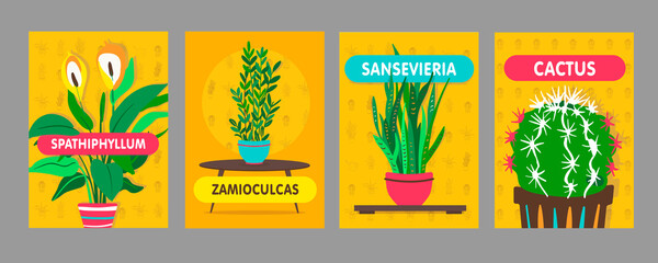 Fototapeta na wymiar Home plants posters set. Variety of green houseplants with pots vector illustrations with text. Home interior and decoration concept for flower shop flyers and banners design