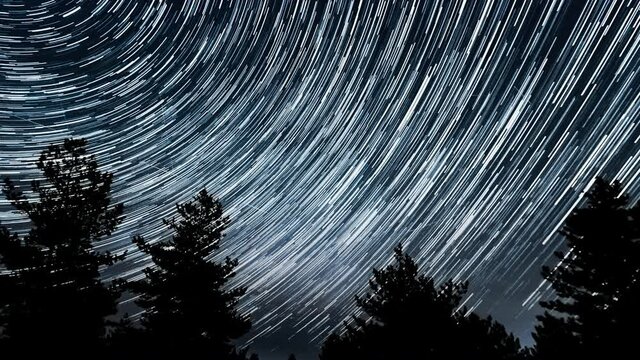 Time lapse of Star trails in the night sky. Silhouettes of trees 4K