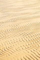 Obraz premium Sand texture on a sea shore. Wavy sand background close-up.