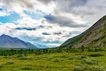 valley and mountains in the subpolar urals on a summer day