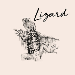 Aquarelle Hand drawn of lizard illustration.