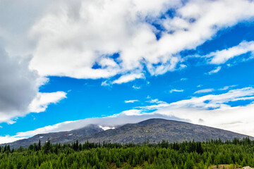 Fototapeta na wymiar mountain range over the forest on a summer day