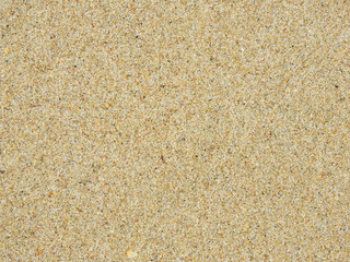 Fototapeta na wymiar smooth sand of the beach texture