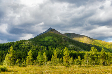 mountain peak over the forest on a summer day