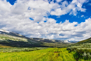 Fototapeta premium view of the tundra and mountains of the subpolar urals