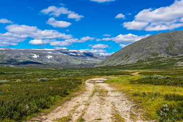 Fototapeta na wymiar view of the tundra and mountains of the subpolar urals