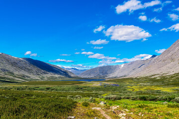 view of the tundra and mountains of the subpolar urals