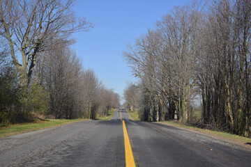 Fototapeta premium road in the countryside