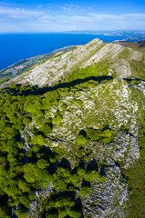 Beech forest in springtime, Cerredo Mountain, Montaña Oriental Costera, Castro Urdiales Municipality, Cantabrian Sea,  Cantabria, Spain, Europe
