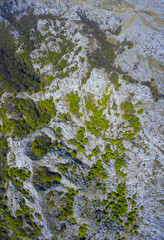 Obraz premium HOYAS o DOLINAS, Beech forest, Springtime, Astrana, Sierra de Hornijo, Alto Ason, Soba Valley, Cantabria, Spain, Europe