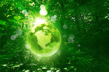 Enviromental conservation and ecology nature environment future world - eco green planet in the forest with america usa map. Glass globe. sustainable. 