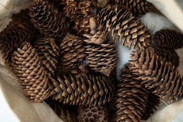 a lot of cones in a bag close up