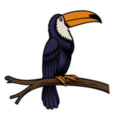 A vector illustration of a toucan parrot © Harry Kasyanov