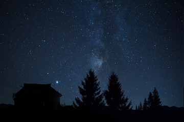 Silhouettes of a huge fir tree and an old vintage house. against the background of the starry sky and the Milky Way. Night photo. Fabulous mystical photo.