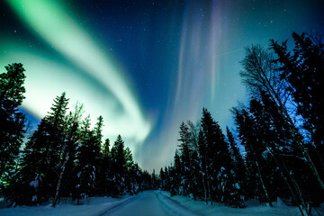 Northern lights Aurora Borealis activity over the road in winter Finland