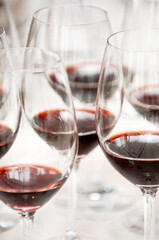 tasting red wine in tuscany and Piedmont in Italy