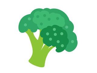 colorful broccoli for magazine, farmers market, vegetarian salad recipe design, web. 
Vegetable on an isolated background. Icon Vector flat illustration
