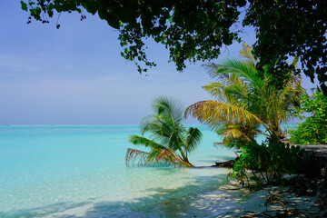 Panorama of tropical beach Malediven 