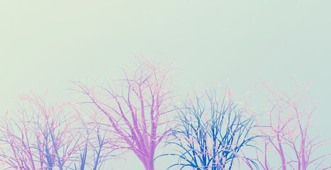 Obraz na płótnie Canvas Decorative pink and blue trees on light blue background, 3d render