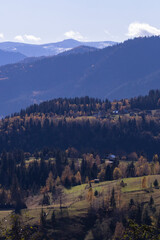  Landscape mountains Carpathians Ukraine autumn and trees on the rocks.
