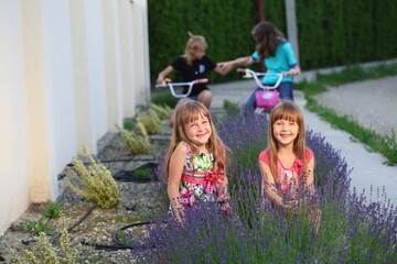 Obraz premium Girl on a bike near lavender