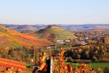 Vineyards in Autumn, View from the Wartberg, Heilbronn, Baden-Württemberg, Germany, Europe
