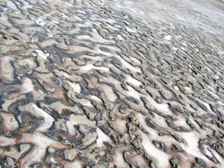 Landscape of the surface of a semi-dried lake covered with mud and salt, and decorated with pink areas of flowering plankton.
