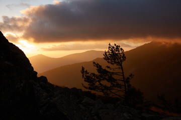 Obraz premium La Maliciosa, La Bola del Mundo, Navacerrada, La Pedriza, El Yelmo and the oak forests in autumn in the Sierra de Guadarrama National Park. Madrid's community. Spain