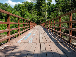 Fototapeta na wymiar A long wooden bridge in the middle of the forest