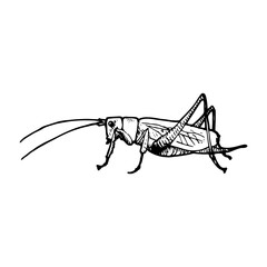 vector ink drawing grasshopper