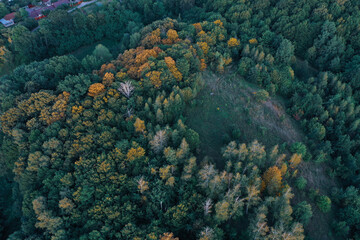 Naklejka na ściany i meble field autumn mountain forest trees houses