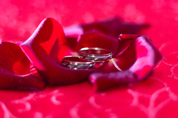 Wedding rings on red rose petals