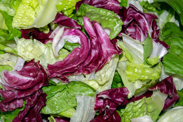 red cabbage and lettuce