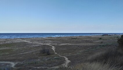 Distant strip of sea water
Bulgaria, Black Sea. Summer day. Coastal vegetation by the sea. The ground is grass. Well-worn sandy paths go to the sea