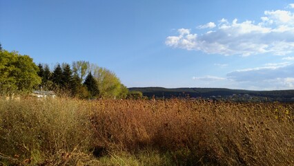 Field grass trees sky and clouds.
Bulgaria, Rural landscape. Yellow grass. Blue sky and snowy clouds. The green trees on the left add color to the landscape.
