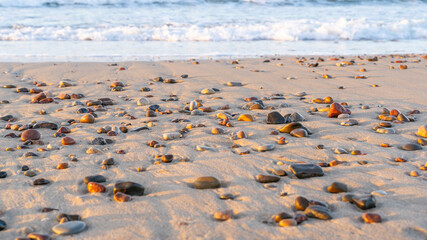 small pebbles on the golden sand of the beach under the sun