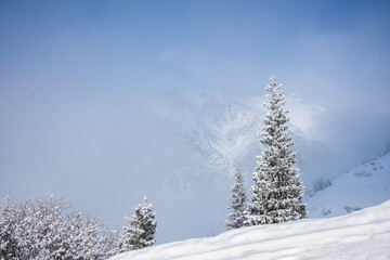 Allphotokz Chimbulak 20170124 5640 D810 S