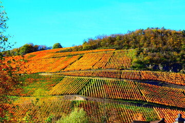 herbstliches Ahrtal bei Marienthal mit bunten Hügeln