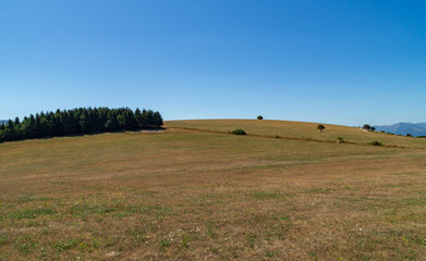Obraz premium Lungo il sentiero 109AG da Poggio San Romualdo a Castelletta nelle Marche