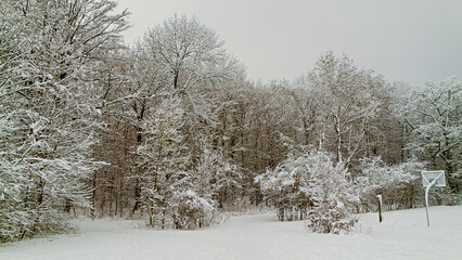 Winter in Hannover  Seelhorst