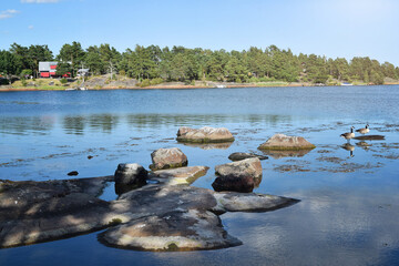 Summer in the Swedish archipelago. Beautiful landscape at the coast in Sweden on a sunny day. 