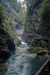 Misty river in Vintgar Gorge in Slovenia