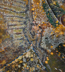
Aerial view over deforestation. Tree felling in the middle of forest. Autumn colors at sunrise. Abstract look on earth texture.
