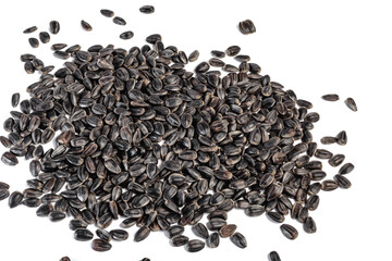 Sunflower seeds on white background