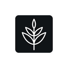 Icon vector graphic of plant, good for template illustration