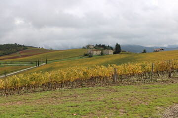 i colori delle vigne del chianti in autunno